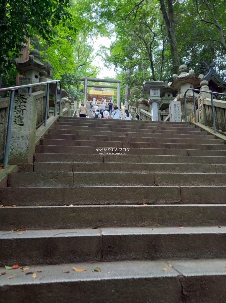 金比羅山の階段