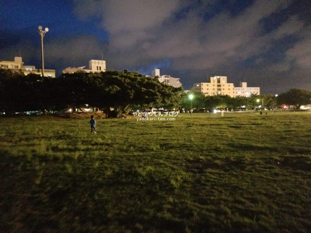 夜の那覇新都心公園