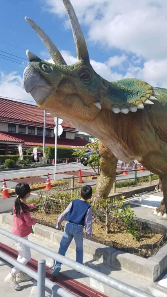 DINO恐竜パークやんばる亜熱帯の森の駐車場