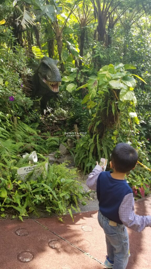 DINO恐竜パークやんばる亜熱帯の森