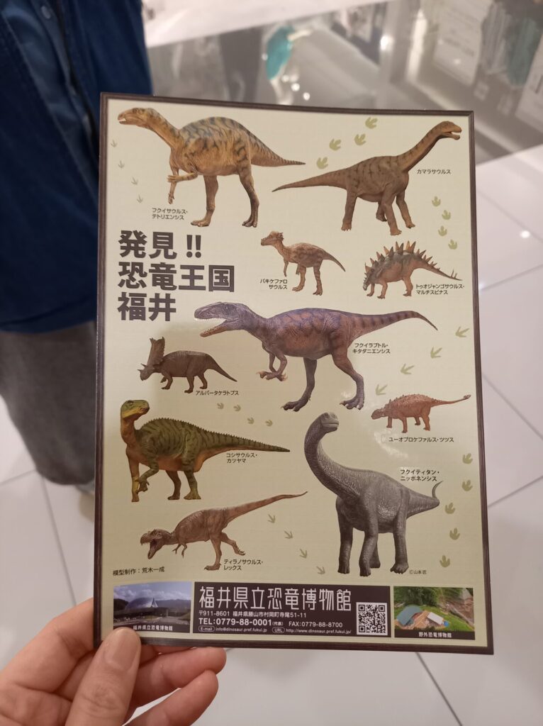 福井県立恐竜博物館のシール