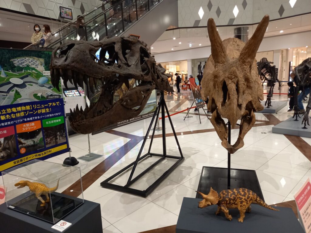 福井県立恐竜博物館の出張展示