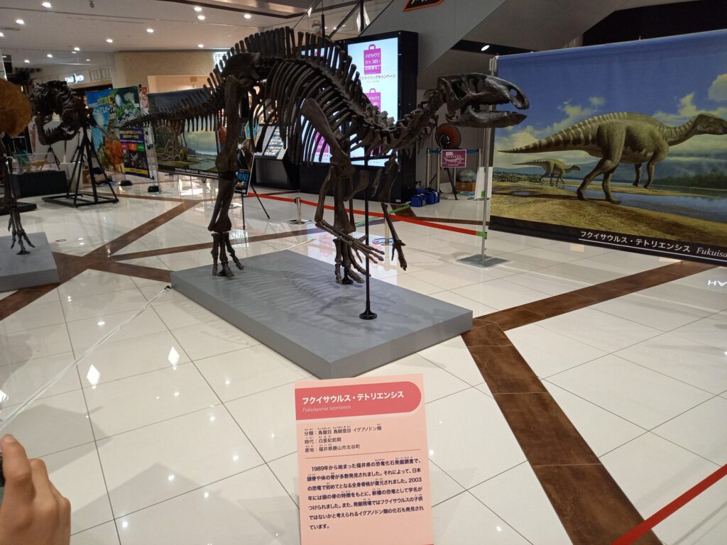 福井恐竜の復元模型