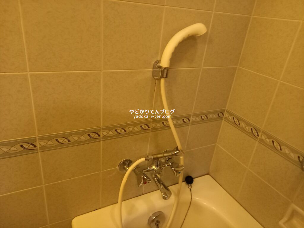 徳島グランヴィリオホテルの客室浴室のシャワー