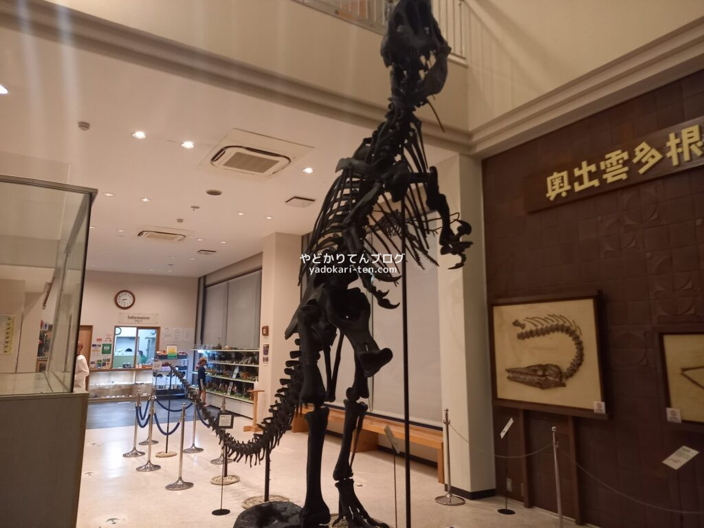 奥出雲多根自然博物館のロビーにいる恐竜