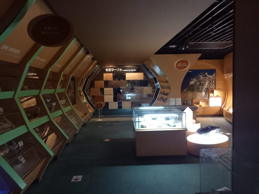 奥出雲多根自然博物館ナイトミュージアムの化石マーブルフロア