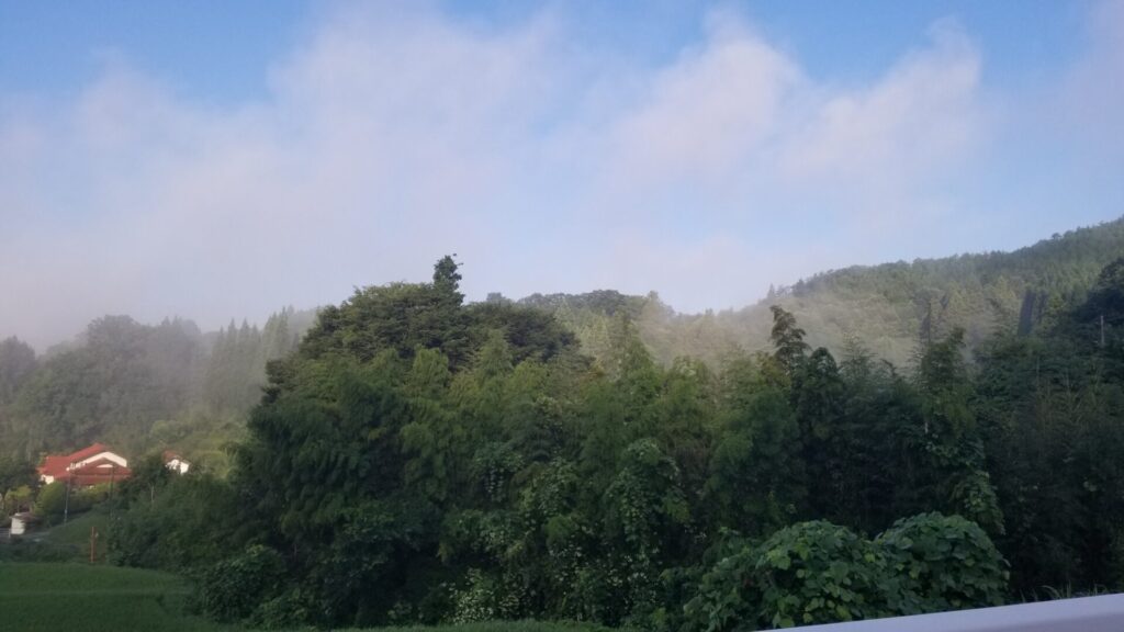 奥出雲多根自然博物館朝の霧