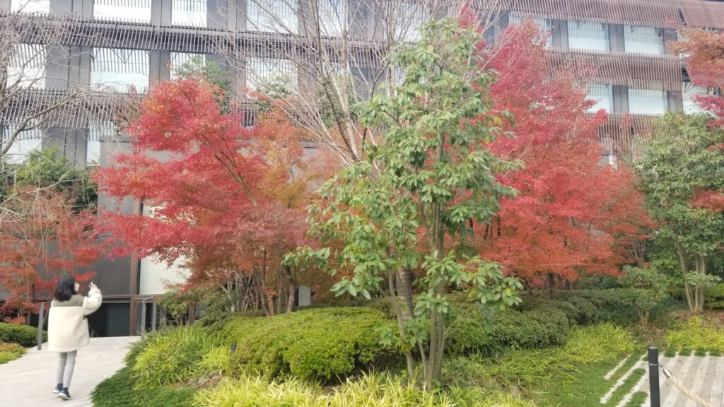 エースホテル京都で紅葉散歩